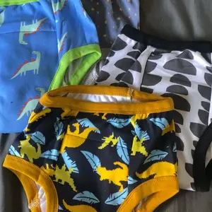 10-Pack Potty Training Pants for Boys and Girls – Soft, Comfortable, and  100% Cotton Training Underwear