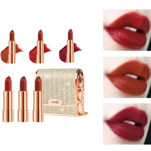 Lace Bag Lipstick Silky Glossy Highly Pigmented Easy To Apply Luxurious Long Lasting No Transfer