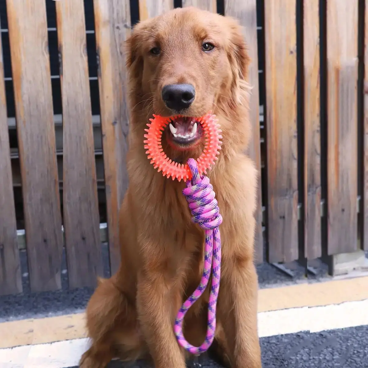 Pet Circle Soft Thorn Toy, Dog Pulling Toy With Rope, Durable Interactive Toy For Indoor & Outdoor, Fun Pet Supplies