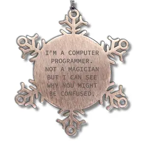 Computer Programmer Gifts from Friends for Christmas - Snowflake Ornament, Funny Quote, Stainless Steel, Safe, and Durable