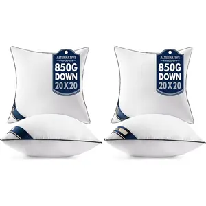 20x20 Pillow Inserts Set of 2 Throw Pillows 20 Inch  Down Alternative Pillow Inserts Decorative Pillow Stuffer for Sofa, Couch (20x20 inch, Set of 2) (Pack of 2)