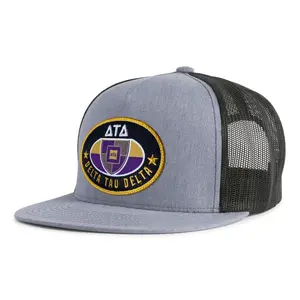 DELTA TAU DELTA 5-Panel Flat Frat Rush Hat Grey