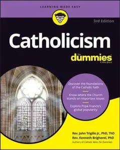 USED-Catholicism for Dummies by Trigilio, John (Paperback)