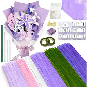 500 count Pipe Cleaners Craft, 6 Colors Pipe Cleaners  Kit, Chenille Stems for Crafts with Instruction Wrapping Paper, Flower Stamens, Stems Art and Craft Supplies