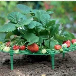 Strawberry Plant Stand, Garden Planter Support Frame, Durable & Sturdy Design, Perfect for Outdoor Gardening, Easy Assembly