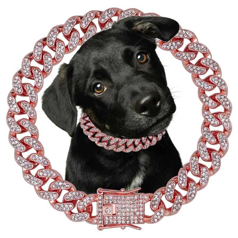 dmx dog chain necklace - TikTok Shop