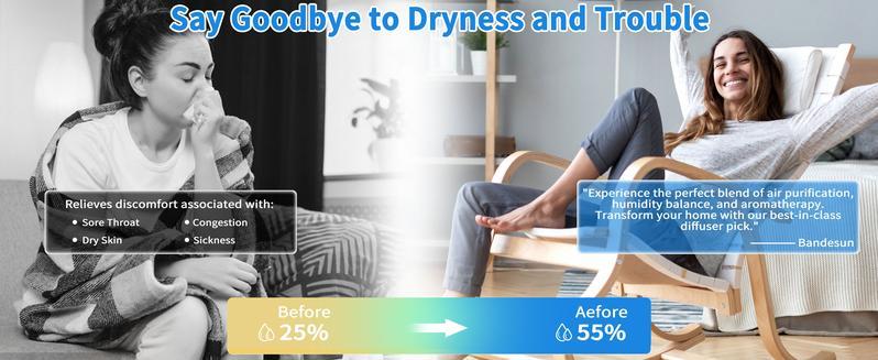 2 Pack Air Purifiers for Bedroom, H13 True HEPA Filter for A11ergies, Pollen, Smoke, Dusts, Pets Dander, Odor, Hair, Ozone Free, 20db Quiet for Home, Room, Kitchen