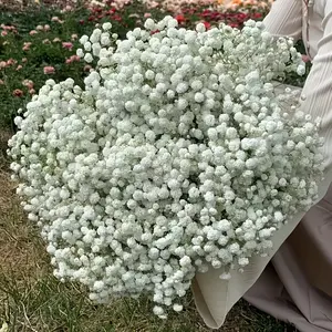30 Pcs White Starry Sky Handheld Bouquet, High Quality Antioxidant Bulk Bouquet, Artificial Bouquet, Fake Flowers with Stems, Realistic Touch, Home and Office Decoration Bouquet, Outdoor Garden and Courtyard Decoration, Christmas, Wedding, Birthday