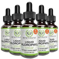 5pcs（Family pack）