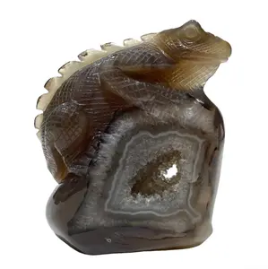 IG Crystal 1 Count Geode Agate Lizard Healing Crystal Gem Reiki Healing Home Decor Crystal Jewelry Shop Pretty Crystals