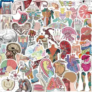 Skeleton Anatomy Pattern Sticker, 50pcs/set Creative DIY Decorative Sticker for Water Bottle, Laptop, Phone Case, Guitar