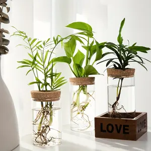 Glass Plant Terrarium without Plant, 1 Piece Water Planting Bottle, Hydroponic Plant Breeding Stand, Home Decor for Living Room Bedroom Office, Vase, Modern Plant Pot