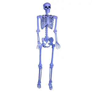 5FT Ghostly Black Light Skeleton Halloween Prop