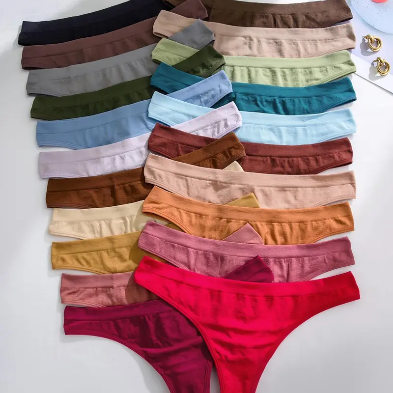 Women's Solid Color Seamless Thong, Soft Comfy Breathable Panty, Casual Elegant Panty for Daily Wear, Ladies Underwear for All Seasons, Casual Soft Panties