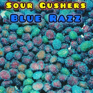 4oz Sour Blue Razz Gushers Raspberry Flavor Snack Candy Popular Treats