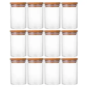 12-Piece Glass Food Storage Jar Set (8.5oz), Clear Glass Storage Jars with Lids, Pantry Organisation Jars, Seasoning Jars, Flower Tea Jars, Coffee Sugar Jars, Kitchen Mini Jar Set Containers Plastic Canister Jar