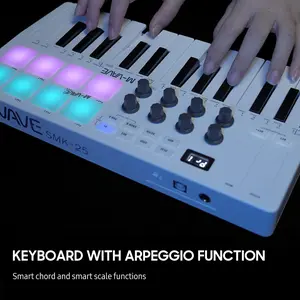 Portable MIDI Controller Keyboard-25 Velocity-Sensitive Keys-8 RGB Pads & Knobs-Multiplatform Cozmpatibility for Music Production