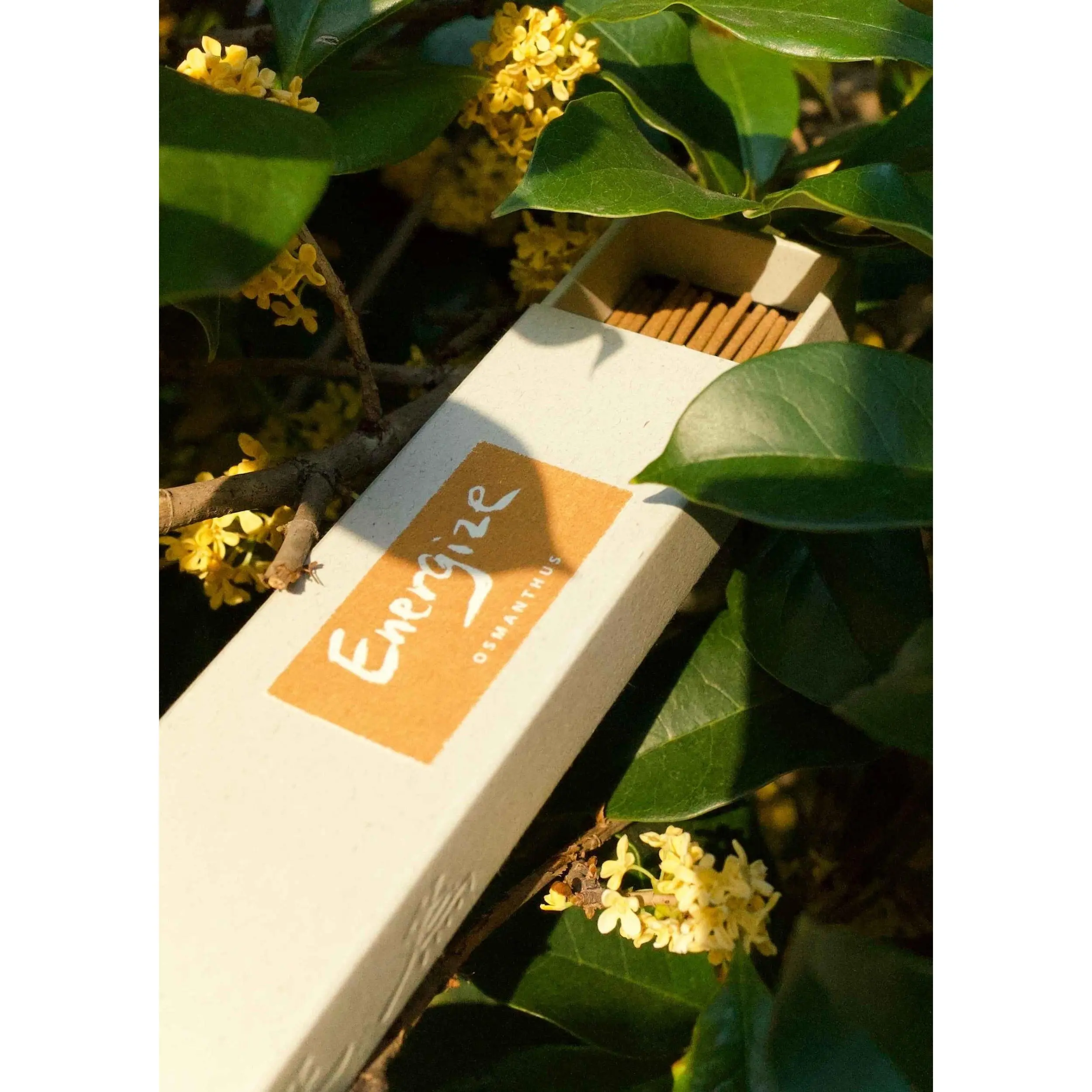 Energize | Osmanthus Incense