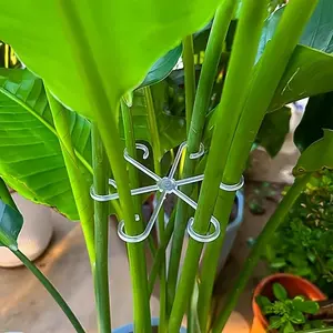 4Pcs Plant Fixing Support Clips, Easy Use Durable Garden Essentials, Perfect Gift for Plant Lovers, Plant Holders
