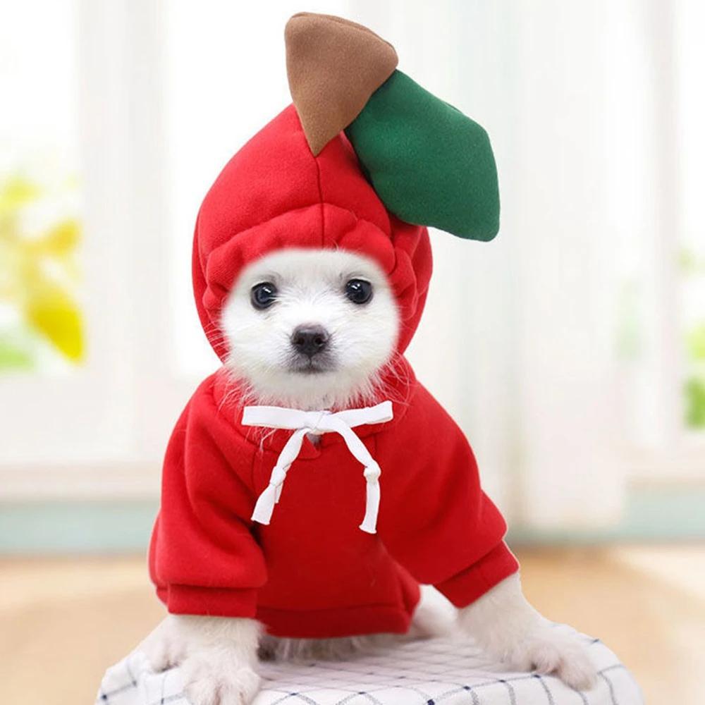 Cute Fruit Dog Clothes For Small Dogs Hoodies Winter Warm Fleece Pet Clothing Puppy Cat Costume Coat For French Chihuahua Outfit