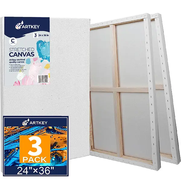 Stretched Canvases for Painting 24x36 Inch 3-Pack, 12.3 oz Triple Primed Acid-Free 100% Cotton Blank Canvas, Large Art Canvases for Oil Paint Acrylics Pouring & Wet Art Media, Pour Painting