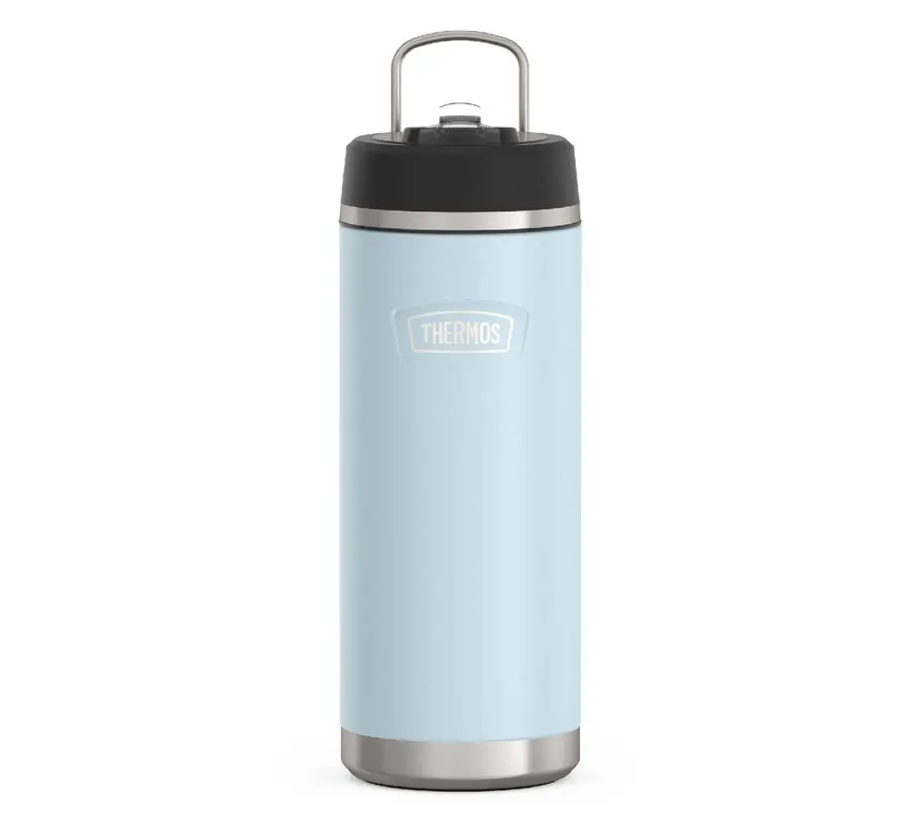 Thermos ICON 32 oz Stainless Steel Water Bottle w/ Straw Lid