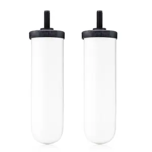 British Berkefeld Ceramic Ultra Sterasyl 7” Water Filter (NSF Certified) 2 Pack