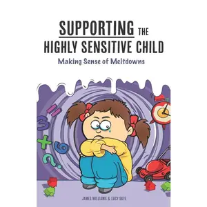 USED-Supporting the Highly Sensitive Child: Making Sense of Meltdowns by Skye, Lucy (Paperback)