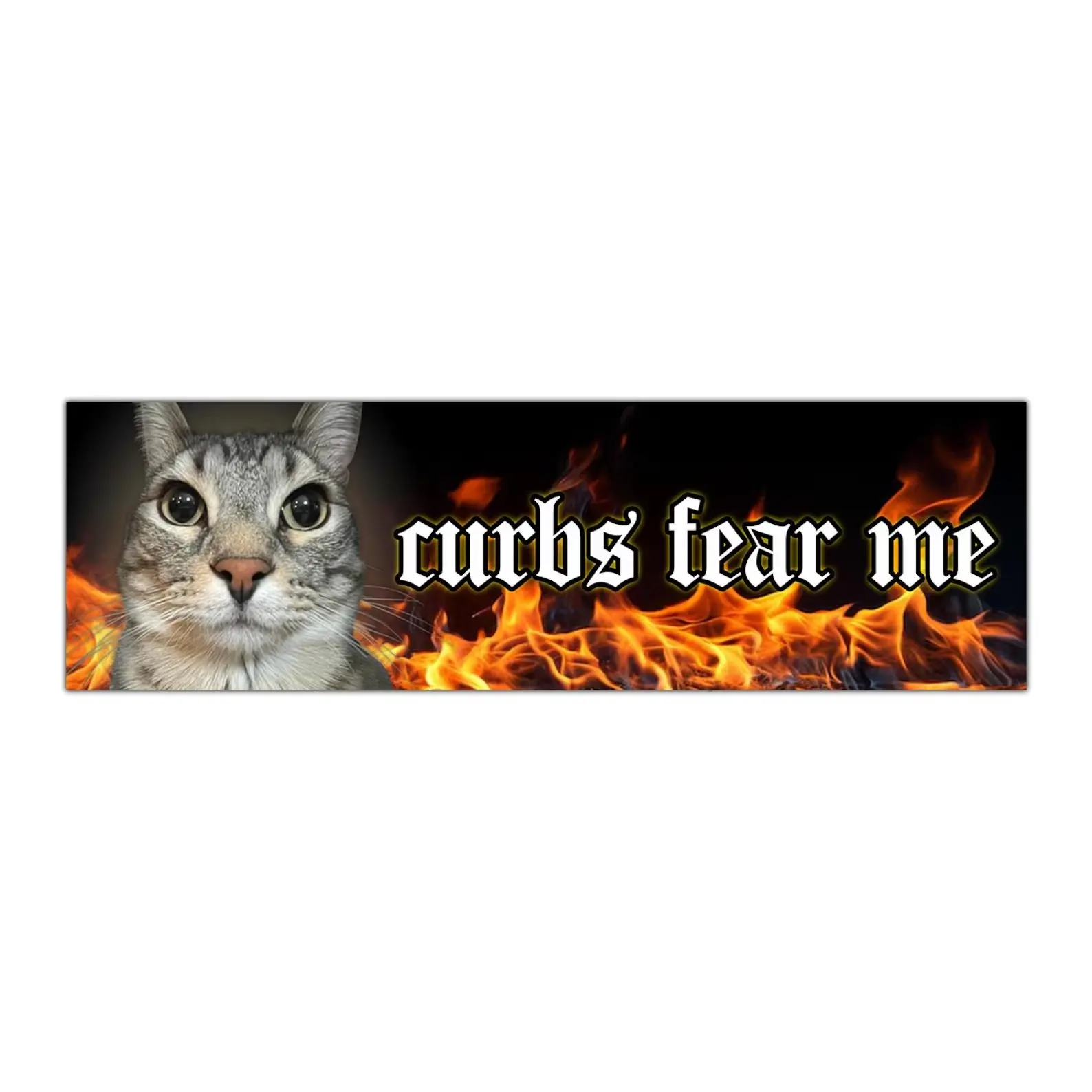 Curbs Fear Me Unhinged Cat Funny Meme Bumper Sticker, Car Magnet