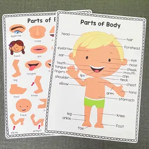 2Pcs Children Body Parts Posters, Early Education Learning Tools, Back-To-School Classroom Decor, English Word Posters for Kids