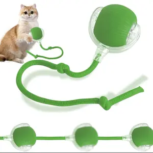 Interactive Rolling Cat Toy Ball