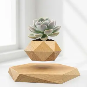 Floating Plant Pot, Magnetic Levitating Bonsai Pot with 360° Rotation, Creative Home & Office Desk Decor, Air Suspension Flower Planter for Indoor Plants