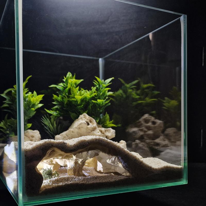 Aquarium Cave Hideout Desert Bluff | Layered Sand Fish Tank Cave | Natural Aquascape Decor
