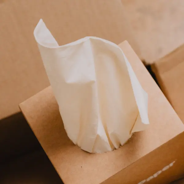 PlantPaper Toxin-free Facial Tissue