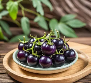 200 Black Nightshade Seeds - Solanum Nigrum Hierba Mora for Planting
