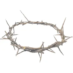 Jerusalem Authentic Biblical Lifesize Real Crown of Thorns with Box & Zuluf Certificate | HLG214 Religious Easter Wreath Home Décor Tree Topper