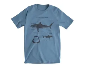 Great White Shark Anatomy T-shirt, Shark Shirt, Great White Shark Biology Shirt, Shark Gift, Great White Shark Drawing, Marine Biology Shirt Shortsleeve Casual