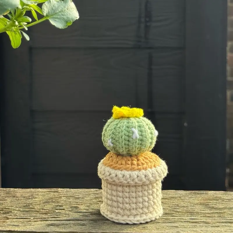 Handmade Crochet Cactus Realistic Everlasting Made in Texas Premium Yarn Lifelike Details Home Décor Gift