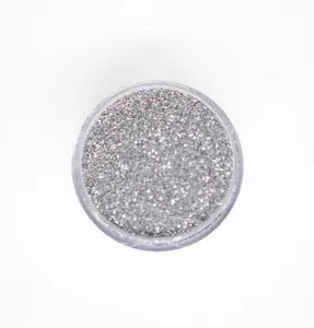 BIODEGRADABLE - The Metallics - Silver Steel - Glitter