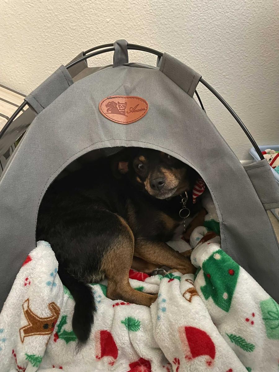 Item: gray, L(within 15 pounds)