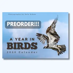 A Year in Birds: 2026 Calendar | North American Bird Photography by Gale Athan