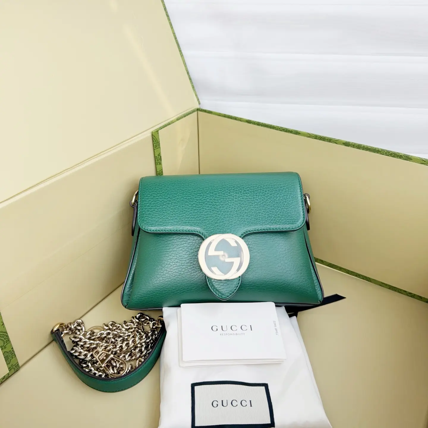 Pre-owned GUCCI luxury bag DINA/	C19488601809