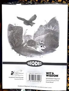 USED Book - My Geodes ,Module 2. Set 2 ,Safety First ,Pack 5 by Emily Gula and Sydney Hanson (Unknown) - english