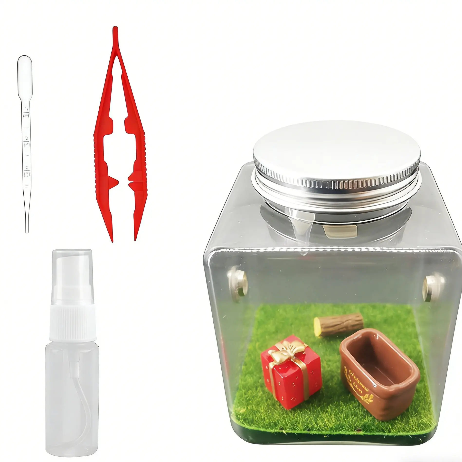 Beginner-Friendly Florida Jumping Spider Terrarium Kit - Small Reptile & Insect Nest, Free Complete Setup Tools, Reptile Starter Essentials Supplies