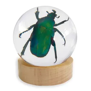 Real Green Rose Chafer Beetle in Resin Globe with Stand – Nature-Inspired Decorative Art Sculpture, Entomology Collectible & Home Decor Ornament, Unique Gift for Bug Lovers desk decor ornament