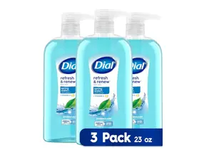 Dial Body Wash, Refresh & Renew Spring Water, 23 fl oz (Pack of 3) Body Care Cleansing