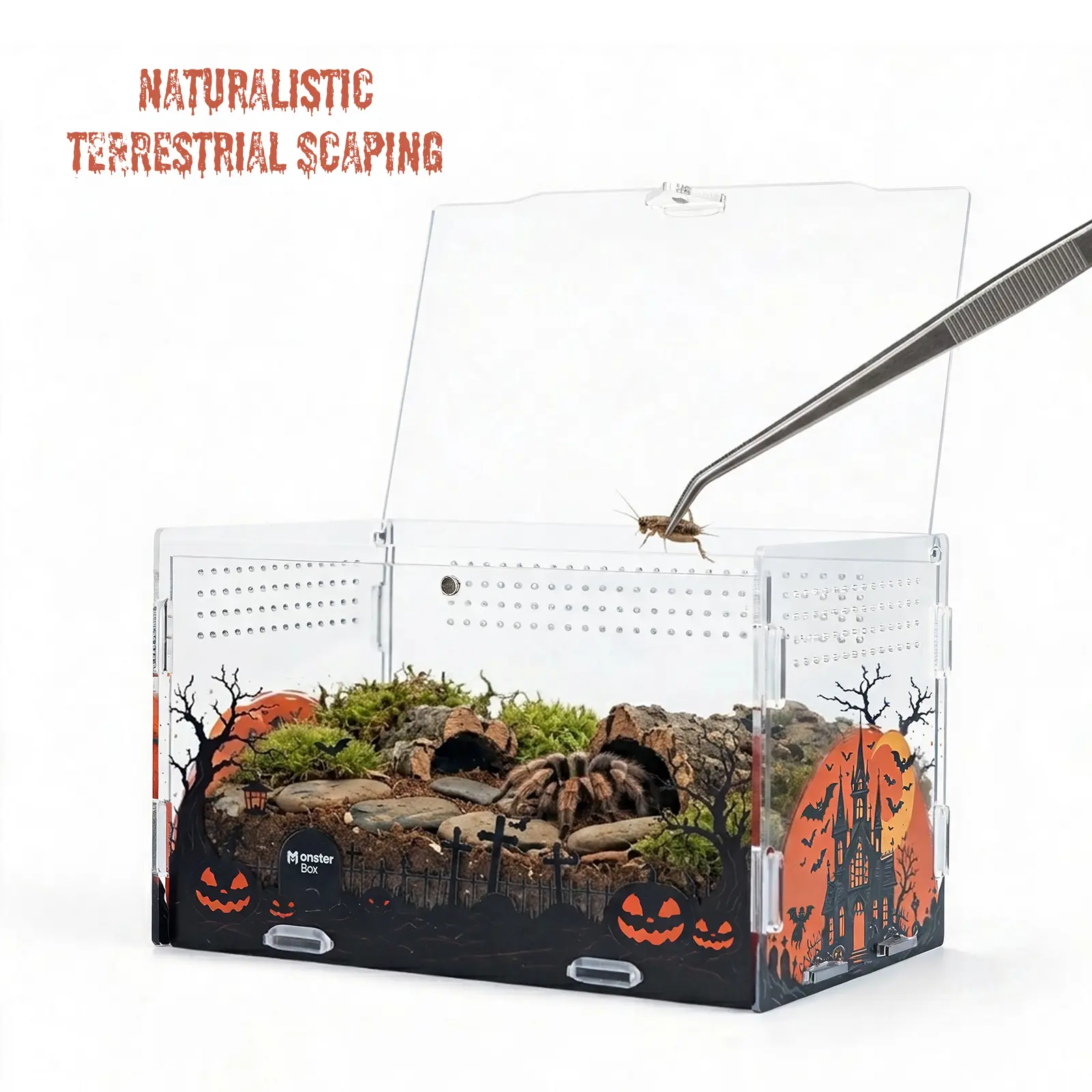 MonsterBox Halloween 8x5x5 Acrylic Reptile Terrarium with Magnetic Top, Clear Enclosure with Ventilation for Tarantulas, Mantises & Small Pets