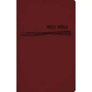 USED-Ceb Common English Deep Blue Kids Bible Decotone Burgundy: Diving Deep Into God's Word by Common English Bible (Unknown)