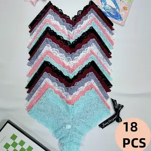 Lace Bikini Pants for Women - Low-Rise, Wavy Edges,Semi-Transparent Mesh, Skin-Friendly, Soft, Triangle Style,ldeal for Beach Parties & Camping