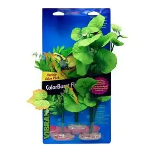 Blue Ribbon Colorburst Florals Broad Leaf Flower Cluster Variety Pack 3 Plants